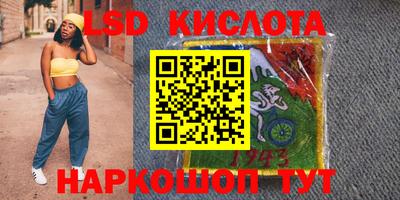 стафф Гусев