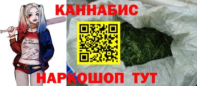 шишки Гусиноозёрск