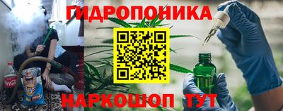 шишки Гусиноозёрск