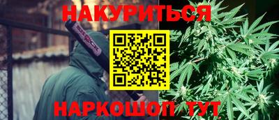 шишки Гусиноозёрск