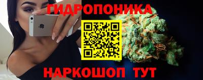 стафф Гусев