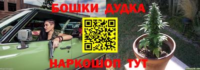 стафф Гусев
