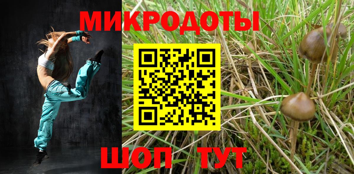Псилоцибиновые грибы Psilocybine cubensis Кемерово